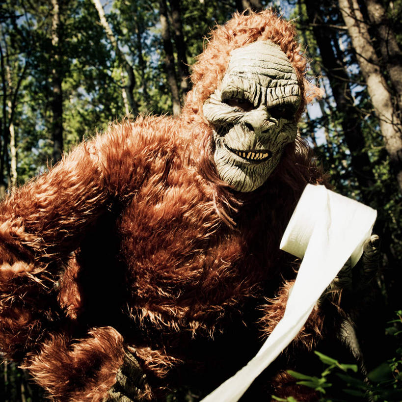 手,无人,蹲,方图,室外,白天,正面,旅游,度假,美景,森林,树林,植物,野生动物,猩猩,握,阴影,光线,残渣,影子,景观,云,云朵,树桩,拿,云彩,拿着,注视,娱乐,树,树干,树木,一只,蓝色,绿色,白云,蓝天,天空,阳光,自然,动物,天,观察,看,张嘴,享受,休闲,手部,木桩,景色,放松,握着,活泼,生长,晴朗,成长,卫生纸,观看,察看,关注,自然风光,张大嘴巴,大便,粪便,排泄物,黄猩猩,排便,粪,屎,晴空,张开嘴,红猩猩,红毛猩猩,蹲着,半身,彩图,排粪