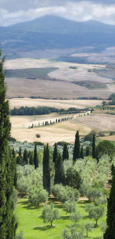 无人,竖图,俯视,室外,白天,旅游,度假,草地,草坪,美景,森林,树林,植物,意大利,欧洲,景观,娱乐,草,树,树木,绿色,自然,享受,休闲,景色,放松,生长,成长,托斯卡纳,锡耶纳,南欧,自然风光,意大利共和国,托斯卡纳大区,彩图,高角度拍摄