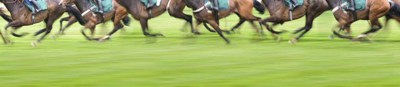 西方人,腿部,脚,脚趾,脚趾甲,腿,跑,横图,室外,白天,侧面,锻炼,运动,草地,草坪,植物,马,野生动物,欧洲,欧洲人,许多,骑马,模糊,许多人,草,绿色,动物,一群人,运输,牲畜,含糊,恍惚,模胡,依稀,隐约,跑马,体育,赛马,白种人,脚指甲,跑步,半身,彩图,健身