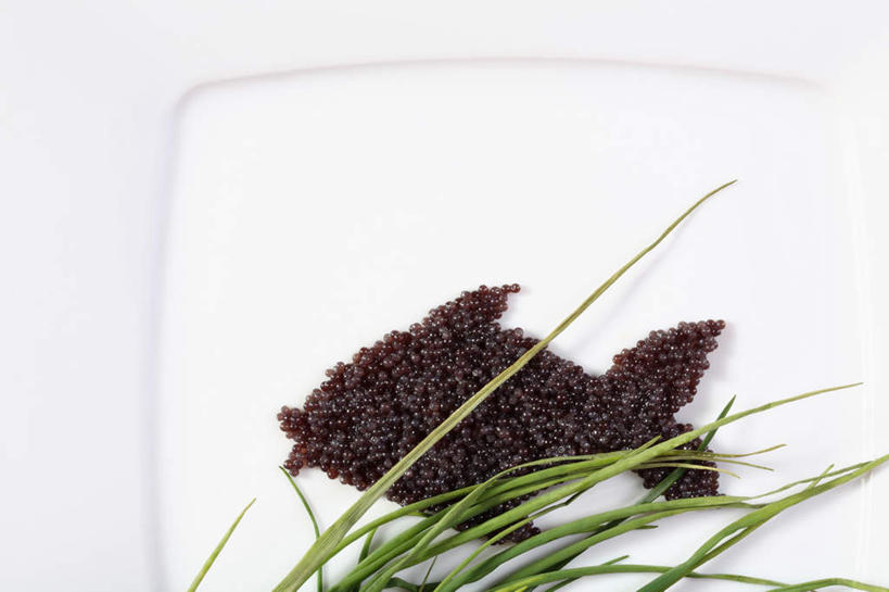 无人,横图,俯视,室内,特写,白天,白色背景,静物,餐具,一堆,许多,堆叠,堆积,碟子,盘,鱼卵,鱼籽,盘子,碟,摄影,影棚,堆,彩图,高角度拍摄,影棚拍摄,拍摄