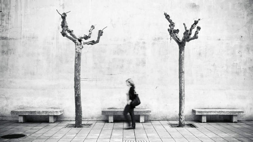 西方人,一个人,站,走,横图,黑白,室外,白天,侧面,石头,植物,欧洲,欧洲人,仅一个年轻女性,仅一个女性,仅一个人,枯萎,朦胧,模糊,板凳,包,地砖,皮包,石子,凳子,墙,注视,墙壁,墙面,树,树木,绿色,自然,观察,看,站着,生长,成长,观看,单肩包,死亡,察看,关注,窨井盖,枯败,年轻女性,女人,女性,白种人,石块,步行,散步,站立,走路,全身