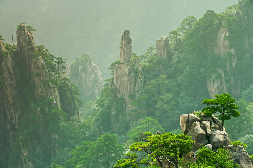 无人,横图,俯视,室外,白天,旅游,度假,草地,草坪,石头,美景,山,山脉,树林,植物,雾,松树,朦胧,模糊,石子,景观,山顶,山峰,拂晓,黎明,山峦,娱乐,草,树,树木,绿色,自然,群山,享受,休闲,景色,放松,生长,成长,迷雾,自然风光,坚定,长寿,贞洁,颠峰,极峰,石块,岩石,大雾,彩图,高角度拍摄