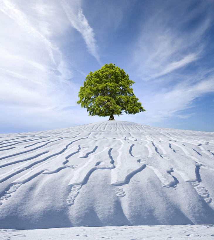 无人,竖图,室外,白天,正面,旅游,度假,寂寞,美景,山,雪,雪山,植物,大雪,欧洲,阿尔卑斯山,阴影,光线,影子,冰,积雪,景观,山峰,雪景,云,云朵,冬季,冬天,山峦,云彩,娱乐,树,树木,蓝色,绿色,白云,蓝天,天空,阳光,自然,天,享受,休闲,景色,放松,寒冷,生长,晴朗,成长,冰冷,自然风光,阿尔卑斯山脉,山毛榉,严寒,冰凉,酷寒,凛冽,凛凛,极冷,麻栎金刚,山毛榉树,孑立,孤单,孤独,晴空,彩图