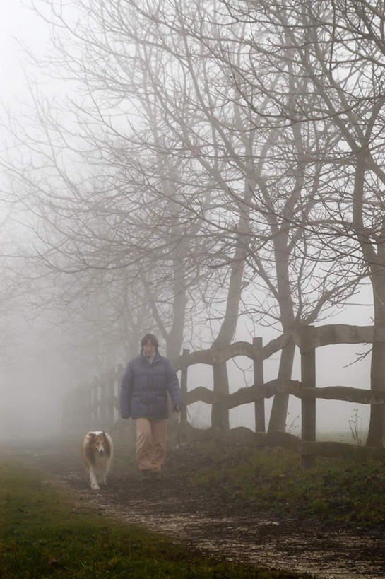 西方人,一个人,栏杆,走,竖图,室外,白天,植物,雾,宠物,狗,欧洲,欧洲人,仅一个男性,仅一个人,服装,朦胧,模糊,围栏,注视,休闲装,苏格兰牧羊犬,护栏,树,树木,仅一个年轻男性,一只,背面,衣服,绿色,自然,动物,观察,看,休闲,休闲服,可爱,服饰,生长,牧羊犬,成长,观看,迷雾,察看,关注,柯利牧羊犬,忠诚,柯利犬,苏牧,男人,男性,年轻男性,白种人,大雾,犬,步行,散步,走路,彩图,全身
