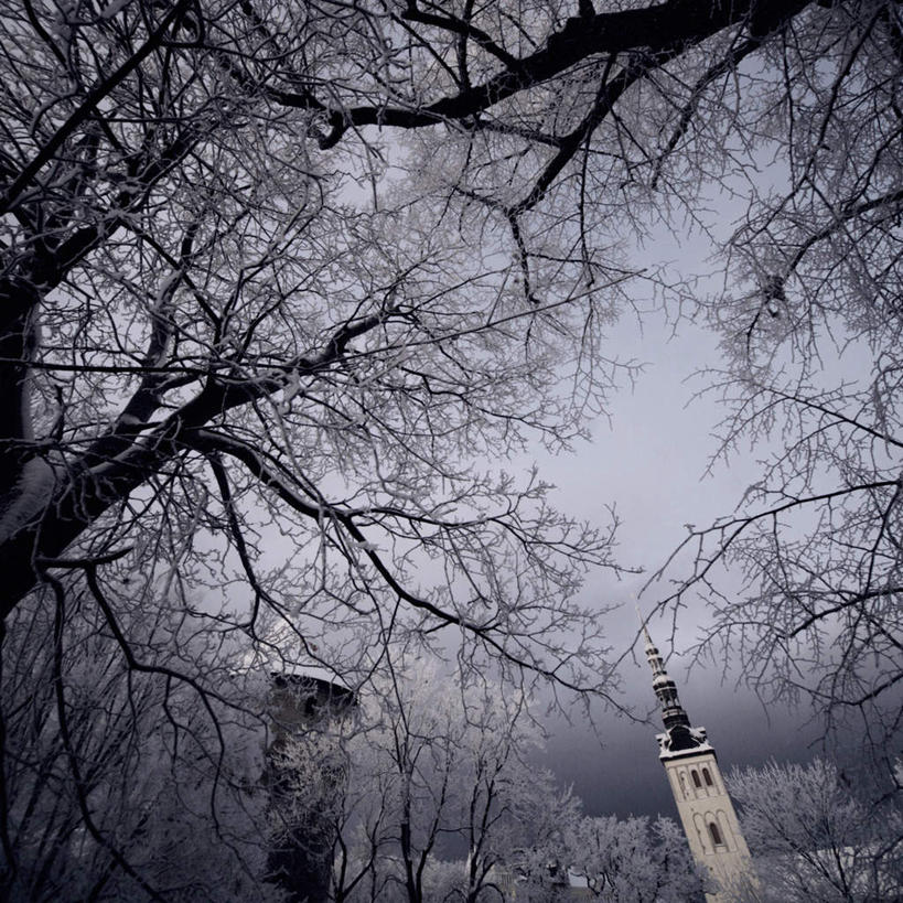 无人,教堂,方图,室外,白天,仰视,旅游,度假,名胜古迹,雪,植物,大雪,标志建筑,地标,建筑,欧洲,爱沙尼亚,遗迹,积雪,雪景,冬季,冬天,枝条,首都,古迹,文物,娱乐,建设,古建筑,树,树木,树枝,蓝色,蓝天,天空,天,享受,休闲,旅游胜地,放松,寒冷,宗教,信仰,晴朗,信念,古文明,东欧,万里无云,严寒,爱沙尼亚共和国,塔林,虬枝,枝杈,晴空,晴空万里,彩图,低角度拍摄,大教堂,礼拜堂