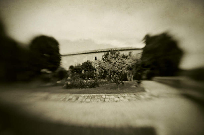 无人,横图,室外,白天,正面,旅游,美景,植物,法国,欧洲,一排,许多,阴影,朦胧,模糊,整齐,光线,影子,景观,云,云朵,很多,云彩,树,树木,排列,蓝色,绿色,白云,蓝天,天空,阳光,自然,天,景色,生长,晴朗,成长,普罗旺斯,队列,自然风光,艾克斯,法兰西共和国,法兰西第五共和国,普罗旺斯省,晴空,彩图,游览