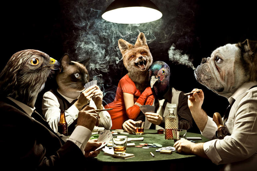 威士忌,脸,头,脸颊,四个人,商务人士,商务男性,站,坐,横图,室内,白天,正面,衬衫,裙子,游戏,赌博,贪欲,竞争,桌面,桌子,宠物,狗,狐狸,猫,鸟,野生动物,鹰,杯子,香烟,纸牌,玩具,扑克,握,连衣裙,套装,木制,斗牛犬,鸟类,酒类,拿,玩,拿着,注视,娱乐,刺激,玻璃制品,酒,饮料,动物,木制品,水杯,观察,看,站着,休闲,烟,握着,观看,活动,察看,发泄,关注,消遣,智力,赌具,牛头犬,商务装,猫咪,狡猾,工薪阶层,猎鹰,忠诚,鸢,英国斗牛犬,投机,侥幸,欲望,宣泄,烈酒,狡诈,斗牛狗,老虎狗,英国老虎犬,永远,永久,夕颜,月光花,男人,男性,年轻男性,年轻女性,女人,女性,头部,脸部,脸蛋,面部,白领,上班族,玻璃杯,卷烟,烟草,纸烟,犬,老鹰,玩耍,嬉戏,站立,坐着,半身,彩图,衬衣,胜负,输赢