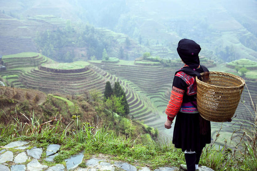 东方人,背,一个人,农田,站,横图,俯视,室外,白天,民族服装,庄稼,梯田,农作物,草地,草坪,田园,植物,中国,亚洲,仅一个女性,仅一个人,阴影,光线,箩筐,影子,竹篓,地平线,辽阔,地面,注视,黄种人,草,绿色,阳光,背着,观察,看,站着,仅一个中年女性,广阔,观看,广西,一望无际,察看,关注,延伸,东亚,龙胜,龙脊梯田,广西壮族自治区,中华人民共和国,天地相交,桂,华南地区,背负,无边无际,一马平川,龙胜各族自治县,龙胜梯田,女人,女性,中年女性,亚洲人,站立,半身,彩图,高角度拍摄,传统服装,民俗服,耕地,庄稼田
