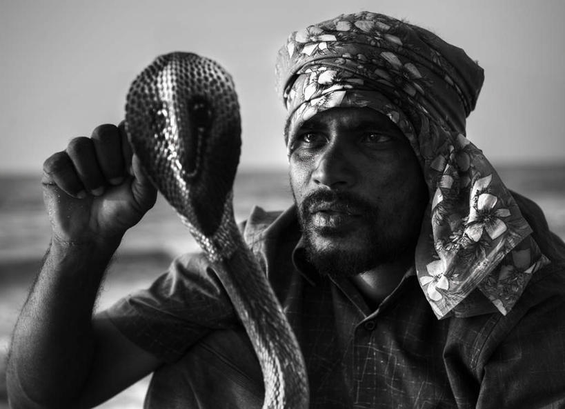 东方人,胡须,一个人,横图,室外,白天,正面,民族服装,野生动物,亚洲,仅一个男性,仅一个人,仅一个中年男性,握,阴影,服装,反射,爬行动物,蛇,影子,古典,拿,拿着,注视,黄种人,文化,传统,衣服,动物,观察,看,握着,服饰,观看,古装,察看,有毒,关注,冷血动物,凶猛,脊椎动物,长虫,眼镜蛇,韵味,开普珊瑚蛇,珊瑚眼镜蛇,残暴,凶残,男人,男性,中年男性,亚洲人,胡子,络腮胡,半身,彩图,传统服装,民俗服,冷血