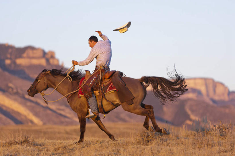 西方人,一个人,牛仔,坐,跑,横图,室外,白天,侧面,锻炼,运动,草地,草坪,山,山脉,植物,马,野生动物,欧洲,欧洲人,仅一个男性,仅一个人,阴影,光线,影子,山峰,山峦,一匹,草,仅一个年轻男性,蓝色,绿色,蓝天,天空,阳光,动物,群山,天,运输,牲畜,晴朗,驾驭,万里无云,体育,男人,男性,年轻男性,白种人,晴空,晴空万里,跑步,坐着,彩图,全身,健身