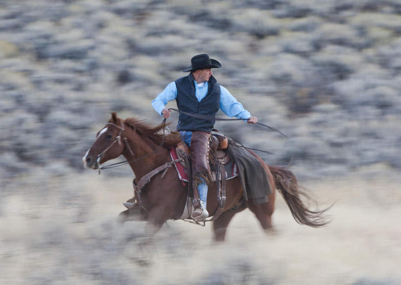 西方人,手,一个人,横图,室外,白天,正面,山,山脉,植物,马,野生动物,帽子,欧洲,欧洲人,仅一个男性,仅一个人,奔驰,骑马,握,阴影,服装,枯萎,光线,影子,山峰,枯草,山峦,拿,拿着,休闲装,奔腾,一匹,草,仅一个年轻男性,衣服,黄色,阳光,动物,群山,奔跑,休闲,手部,休闲服,牛仔帽,握着,运输,服饰,牲畜,飞驰,疾驰,男人,男性,年轻男性,白种人,半身,彩图