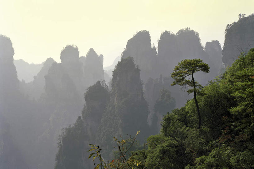 无人,横图,全景,室外,白天,正面,旅游,度假,美景,山,山脉,树林,天际线,植物,雾,中国,亚洲,朦胧,模糊,景观,山峰,山峦,娱乐,树,树木,绿色,天空,自然,群山,天,享受,休闲,景色,放松,生长,成长,迷雾,自然风光,东亚,湖南,湖南省,中华人民共和国,省会,华中地区,长沙,长沙市,湘,大雾,彩图