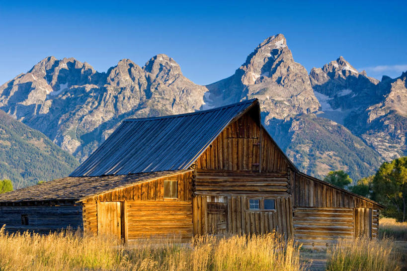 西方人,一个人,高楼大厦,站,摸,横图,室内,白天,正面,植物,大厦,道路,建筑,路,摩天大楼,公路,欧洲,欧洲人,仅一个男性,仅一个人,抚摸,蓝色背景,交通,树,树木,食物,仅一个年轻男性,绿色,自然,模型,站着,摄影,影棚,生长,成长,盖,男人,男性,年轻男性,白种人,马路,触摸,接触,站立,半身,彩图,影棚拍摄,拍摄,大楼,高层建筑,高楼,摩天楼