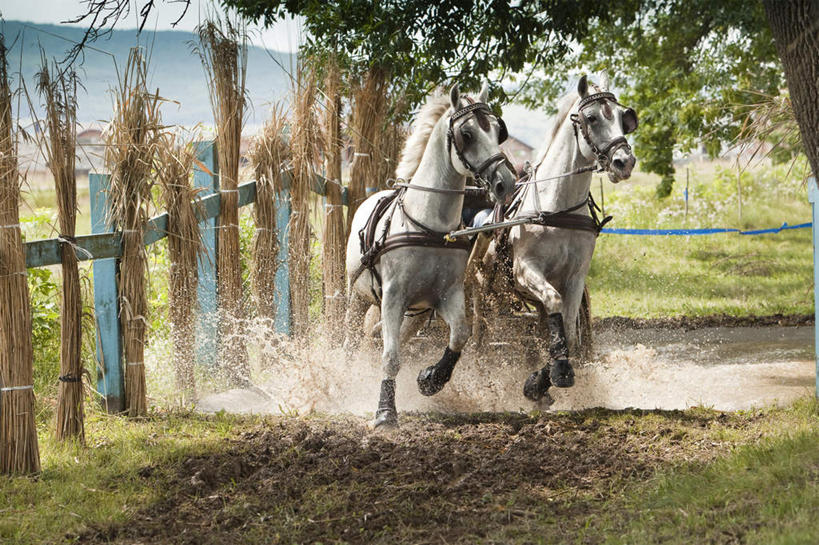 西方人,一个人,高楼大厦,站,摸,横图,室内,白天,正面,植物,大厦,道路,建筑,路,摩天大楼,公路,欧洲,欧洲人,仅一个男性,仅一个人,抚摸,蓝色背景,交通,树,树木,食物,仅一个年轻男性,绿色,自然,模型,站着,摄影,影棚,生长,成长,盖,男人,男性,年轻男性,白种人,马路,触摸,接触,站立,半身,彩图,影棚拍摄,拍摄,大楼,高层建筑,高楼,摩天楼