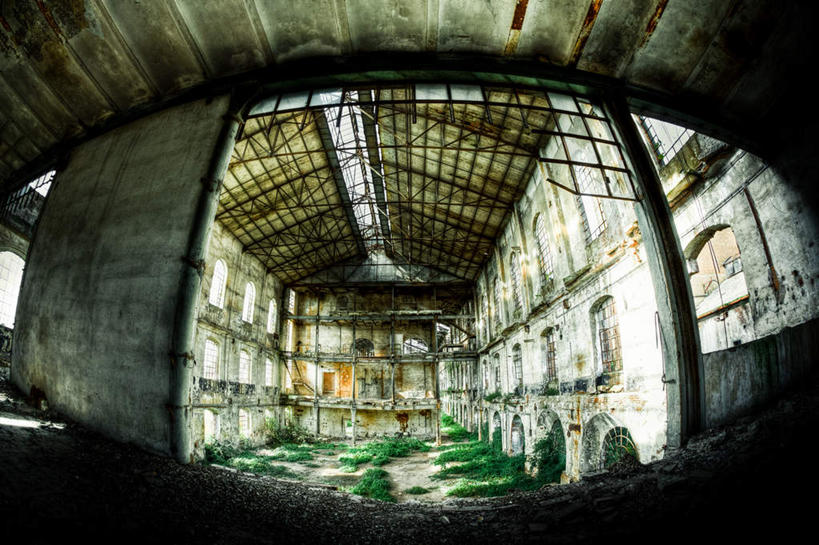 无人,横图,室内,白天,广角镜头,鱼眼镜头,仰视,草地,草坪,植物,窗户,天花板,静物,墙,屋顶,仓库,顶棚,玻璃窗,墙壁,墙面,草,绿色,彩图,低角度拍摄,堆栈