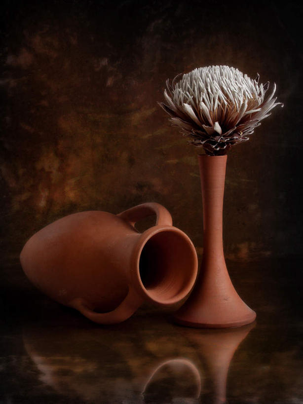 无人,竖图,室内,特写,白天,正面,静物,花瓶,阴影,形状,丰富,艺术,反射,影子,手工艺品,陶瓷,褐色,陶瓷制品,文化,两个,瓶子,工艺品,成熟,怪异,粘土,高雅,手工艺,自信心,品位,形态,外形,谦让,随和,独特,彩图