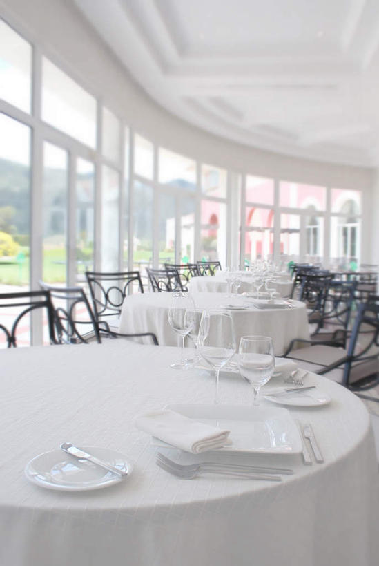 无人,餐厅,竖图,室内,白天,正面,草地,草坪,植物,餐桌,桌子,酒店,餐具,一堆,许多,阴影,堆叠,堆积,光线,木制,布料,碟子,盘,影子,布纹,桌布,草,绿色,白色,阳光,盘子,餐巾,木制品,碟,台布,餐台,堆,彩图,餐馆,饭店,饭馆,旅店