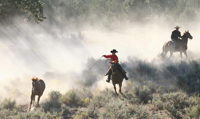 西方人,两个人,坐,横图,室外,白天,正面,草地,草坪,植物,马,野生动物,帽子,欧洲,欧洲人,奔驰,握,服装,拿,拿着,注视,休闲装,奔腾,草,衣服,绿色,动物,奔跑,观察,看,休闲,休闲服,牛仔帽,握着,运输,服饰,牲畜,观看,尘土,察看,关注,三匹,马鞭,鞭子,飞驰,疾驰,男人,男性,年轻男性,白种人,坐着,彩图,全身