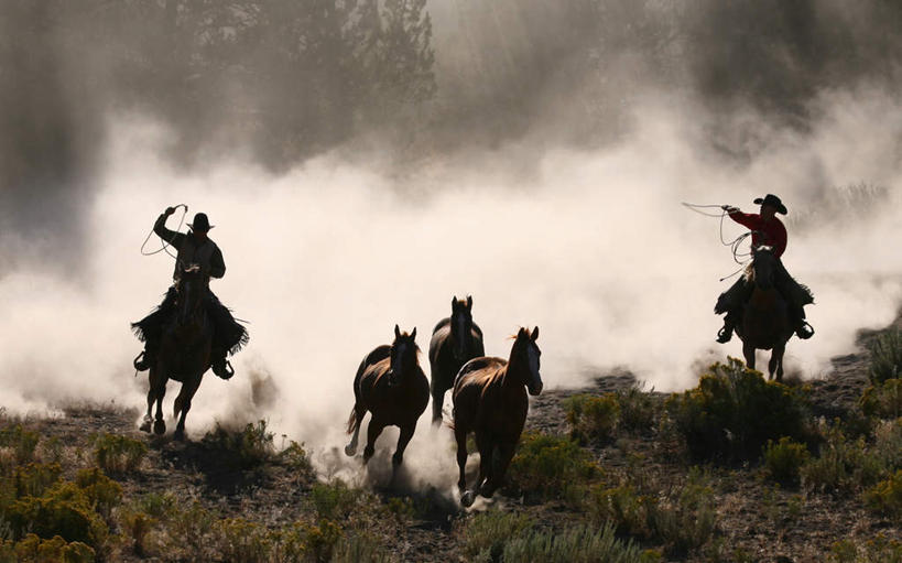 西方人,两个人,横图,室外,白天,正面,旅游,度假,草地,草坪,美景,植物,马,野生动物,帽子,欧洲,欧洲人,握,模糊,景观,拿,拿着,娱乐,五匹,草,绿色,自然,动物,绳子,享受,休闲,牛仔帽,景色,放松,握着,运输,牲畜,自然风光,含糊,恍惚,模胡,依稀,隐约,男人,男性,年轻男性,白种人,彩图,全身