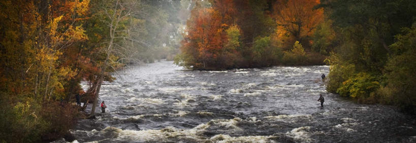 西方人,三个人,伙伴,朋友,站,横图,全景,室外,白天,正面,垂钓,旅游,度假,友谊,河流,石头,美景,秋季,森林,树林,水,植物,钓鱼竿,欧洲,欧洲人,石子,河水,景观,水流,娱乐,树,树木,绿色,自然,站着,享受,休闲,景色,放松,生长,成长,渔具,自然风光,友情,男人,男性,年轻男性,年轻女性,女人,女性,白种人,钓竿,鱼竿,石块,岩石,秋,秋天,站立,彩图,全身,钓鱼,垂纶