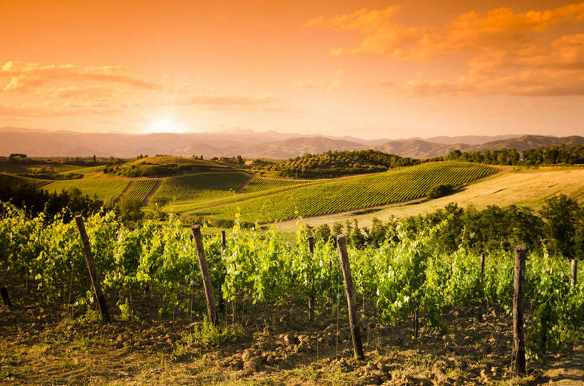 无人,横图,室外,白天,正面,旅游,度假,草地,草坪,美景,日落,山,山脉,树林,太阳,植物,意大利,欧洲,阴影,光线,影子,景观,山峰,晚霞,霞光,落日,山峦,娱乐,架子,草,树,树木,绿色,阳光,自然,黄昏,群山,享受,休闲,景色,彩霞,放松,生长,成长,支撑,固定,托斯卡纳,南欧,自然风光,葡萄架,意大利共和国,托斯卡纳大区,夕照,薄暮,奇扬第,夕阳,彩图,傍晚,斜阳