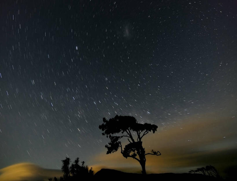 无人,横图,室外,夜晚,正面,旅游,度假,美景,星空,植物,新西兰,景观,云,云朵,背光,云彩,娱乐,树,树木,绿色,白云,自然,享受,休闲,景色,放松,生长,成长,自然风光,大洋洲,逆光,纽西兰,长白云之乡,新西兰南岛,星夜,夜空,彩图