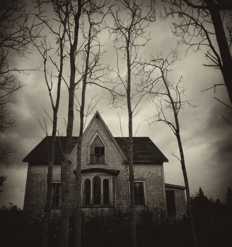 无人,家,竖图,室外,白天,仰视,旅游,度假,名胜古迹,植物,标志建筑,地标,建筑,加拿大,废弃,古老,遗迹,房屋,屋子,乌云,云,阴天,云朵,云彩,古迹,文物,娱乐,建设,古建筑,楼房,住宅,树,树木,绿色,天空,自然,天,享受,休闲,旅游胜地,放松,生长,成长,北美,北美洲,昏暗,阴沉,美洲,古文明,新斯科舍,北亚美利加洲,亚美利加洲,布雷顿角岛,新斯科舍省,陈腐,废除,彩图,低角度拍摄,房子,诺省,斯高沙省,新省,新斯高沙省,新斯科细亚省