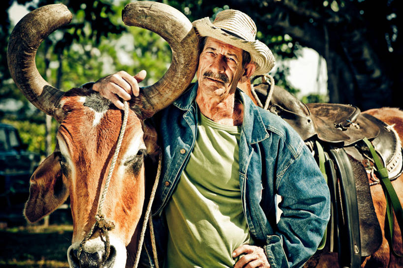 西方人,一个人,牛仔,站,笑,微笑,露齿笑,横图,室外,白天,正面,草地,草坪,植物,牛,帽子,欧洲,欧洲人,仅一个男性,仅一个人,阴影,服装,朦胧,模糊,光线,草帽,影子,注视,休闲装,手叉腰,草,树,树木,一只,衣服,绿色,阳光,自然,动物,叉腰,观察,看,站着,仅一个老年男性,休闲,休闲服,家畜,搭,服饰,牲畜,生长,成长,观看,察看,搭着,关注,肉牛,肉用牛,单手叉腰,老年男性,男人,男性,白种人,牧牛工,牧牛人,牧童,站立,半身,彩图,赫里福德牛