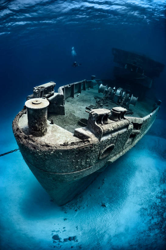 无人,竖图,室外,白天,正面,旅游,度假,海底,水下,美景,轮船,船,海鸟,鸟,阴影,破旧,光线,鸟类,影子,景观,水底,娱乐,一只,阳光,自然,交通工具,享受,休闲,景色,放松,海底世界,自然风光,载具,三趾鸥,海床,彩图,全身