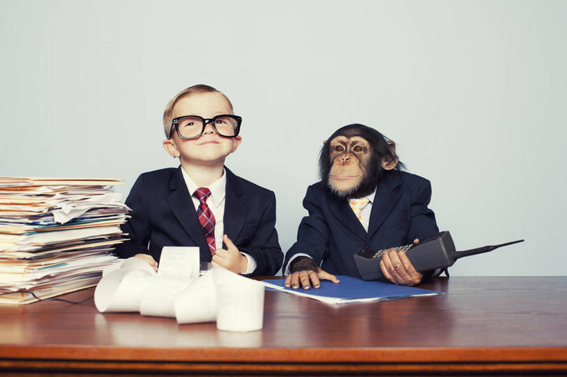 西方人,儿童,一个人,商务人士,商务男性,办公室,坐,笑,打电话,微笑,横图,室内,白天,白色背景,正面,衬衫,纯洁,计算器,家具,桌子,哺乳动物,野生动物,猩猩,电话,书籍,欧洲,欧洲人,仅一个男性,仅一个人,一堆,许多,握,阴影,堆叠,堆积,套装,反射,计算,科学,眼镜,影子,办公桌,办公用品,领带,很多,注视,通讯设备,一只,小孩,白色,动物,书本,观察,看,仅一个小孩,可爱,童年,童趣,握着,理财,财务,摄影,活泼,影棚,观看,堆,大哥大,察看,象征,庄重,关注,数学,黑猩猩,商务装,身份,近视眼镜,文件架,工薪阶层,童真,烂漫,无邪,资料架,办公家具,正式,地位,文件框,文件座,资料档,资料座,交流,天真,男孩,男人,男性,白种人,孩子,白领,上班族,手提电话,书,图书,沟通,通话,坐着,半身,彩图,影棚拍摄,衬衣,拍摄,男生