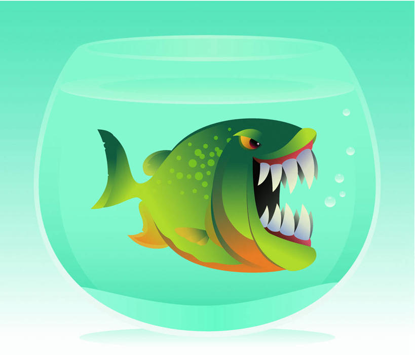 无人,横图,插画,室内,白天,侧面,数码,科技,水,野生动物,玻璃,一条,绿色背景,阴影,网络,鱼,液体,水滴,鱼缸,高光,几何,计算机图形,合成,图画,注视,鱼类,玻璃制品,画,一个,绿色,动物,观察,看,张嘴,单个,观看,电脑合成图,数码合成图,察看,合成图,关注,凶猛,漫画,张大嘴巴,写实,具体,具象,食人鲳,食人鱼,水虎鱼,残暴,凶残,张开嘴,彩图,全身