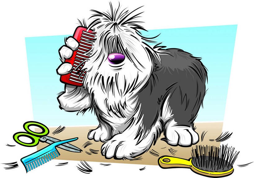 无人,站,横图,插画,室内,白天,正面,数码,科技,宠物,狗,握,修剪,阴影,网络,工具,剪刀,四把,高光,几何,计算机图形,拿,合成,梳子,图画,拿着,注视,画,一只,动物,日用品,观察,看,站着,可爱,握着,牧羊犬,观看,裁剪,电脑合成图,数码合成图,察看,剪子,剪裁,切割,合成图,关注,漫画,忠诚,美发用品,写实,具体,具象,古代牧羊犬,古牧,截尾犬,英国古代牧羊犬,犬,站立,彩图,全身