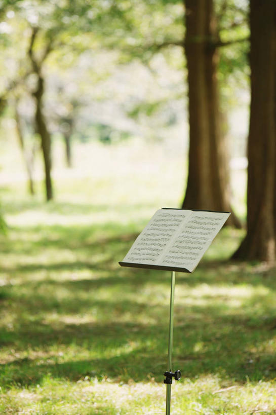 无人,竖图,室外,白天,正面,草地,草坪,美景,植物,书籍,阴影,朦胧,模糊,光线,影子,景观,乐谱,五线谱,音乐,架子,草,树,树木,绿色,阳光,自然,景色,生长,成长,节拍,自然风光,音符,乐谱架,符头,符干,符尾,乐章,彩图