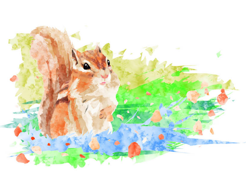 无人,坐,横图,插画,室外,白天,白色背景,正面,数码,科技,草地,草坪,植物,野生动物,阴影,网络,高光,几何,计算机图形,合成,图画,注视,画,草,一只,绿色,动物,松鼠,观察,看,可爱,活泼,观看,电脑合成图,数码合成图,察看,合成图,关注,漫画,地松鼠,写实,具体,具象,坐着,彩图,全身