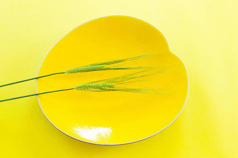 无人,横图,俯视,室内,特写,白天,农作物,小麦,餐具,黄色背景,碟子,盘,谷物,两个,一个,黄色,盘子,碟,摄影,麦子,影棚,单个,大麦,彩图,高角度拍摄,影棚拍摄,拍摄