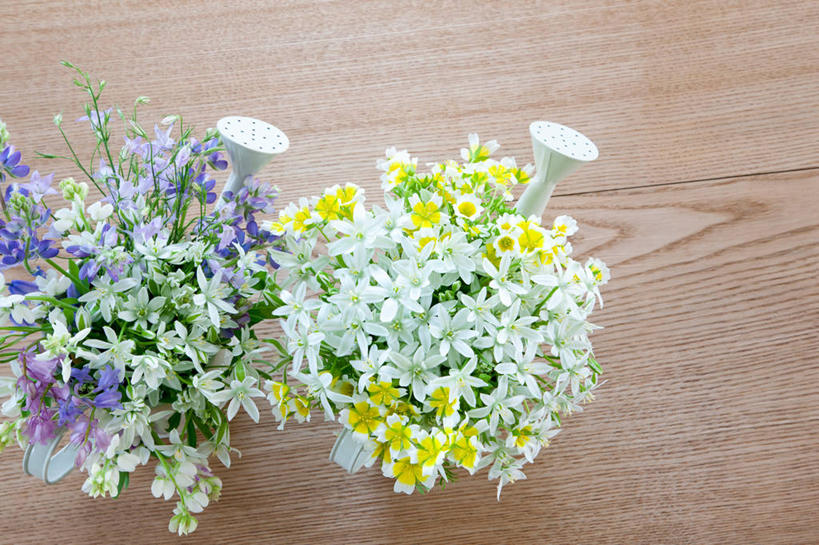 无人,横图,俯视,室内,特写,白天,智慧,桌面,桌子,花瓶,艺术,盛开,木制,陶瓷,羽扇豆,鲁冰花,陶瓷制品,花蕾,文化,花,花瓣,花朵,鲜花,两个,插花,木制品,瓶子,花苞,花蕊,母爱,插花艺术,创造,创作,想象,白羽扇豆,奉献,无私,苦涩,彩图,高角度拍摄