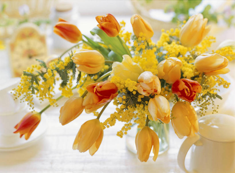 无人,横图,室内,特写,白天,正面,爱情,智慧,桌面,桌子,郁金香,含羞草,花瓶,许多,阴影,朦胧,模糊,艺术,装饰,盛开,反射,影子,陶瓷,陶瓷制品,很多,祝福,花蕾,文化,花,花瓣,花朵,鲜花,插花,瓶子,花苞,花蕊,华丽,修饰,插花艺术,点缀,创造,表白,创作,荣誉,想象,永恒,衬托,美观,雅致,雅观,知羞草,郁香,洋荷花,怕丑草,感应草,草麝香,彩图