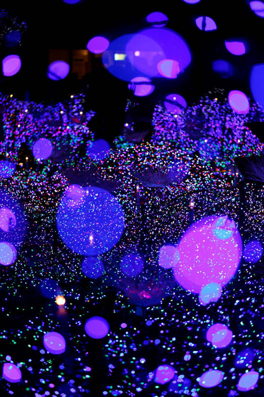 无人,竖图,室外,夜晚,正面,照明,阴影,装饰,光线,彩灯,影子,冬季,冬天,灯光,灯,紫色,灯具,花灯,华丽,修饰,照亮,点缀,照明设备,衬托,美观,雅致,雅观,冬日,彩图