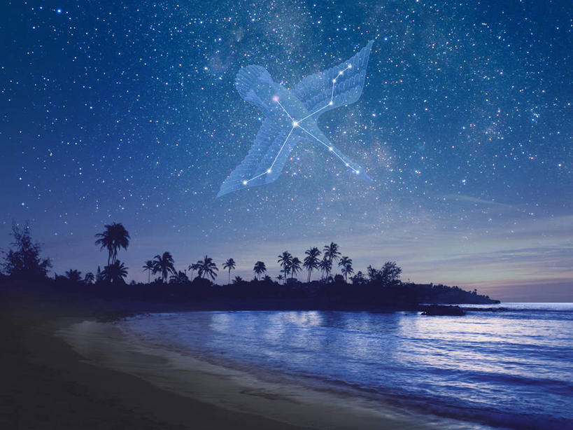 无人,横图,室内,夜晚,正面,旅游,度假,数码,宇宙,科技,海浪,海洋,美景,沙滩,植物,棕榈树,叶子,夏威夷,美国,阴影,网络,沙子,海岸,景观,浪花,绿叶,沙地,高光,几何,计算机图形,合成,娱乐,树,树木,绿色,自然,海水,享受,休闲,嫩叶,景色,放松,星座,生长,成长,电脑合成图,数码合成图,北美,北美洲,合成图,天文,自然风光,占卜,美洲,海景,棕榈叶,天文学,夏威夷州,爱洛哈之州,写实,具体,具象,北亚美利加洲,亚美利加洲,星相,占星,天鹅座,叶,叶片,大海,风浪,海,海水的波动,海滩,近岸浪,涌浪,棕树,棕榈,彩图,美利坚合众国