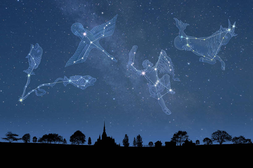 无人,横图,室内,夜晚,正面,数码,科技,草地,草坪,美景,树林,植物,阴影,网络,景观,星星,高光,几何,计算机图形,合成,草,树,树木,绿色,自然,景色,可爱,星座,生长,成长,电脑合成图,数码合成图,恒星,合成图,气质,自然风光,占卜,温柔,写实,具体,具象,可靠,摩羯座,耐心,亲和,双鱼座,细腻,隐忍,山羊座,彩图