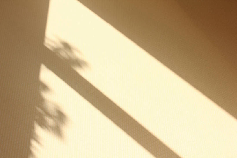 无人,横图,室内,特写,白天,正面,静物,阴影,光线,影子,墙,浪漫,墙壁,墙面,阳光,温暖,米色,清爽,优雅,高贵,米白色,含蓄,纯净,大气,彩图,内敛