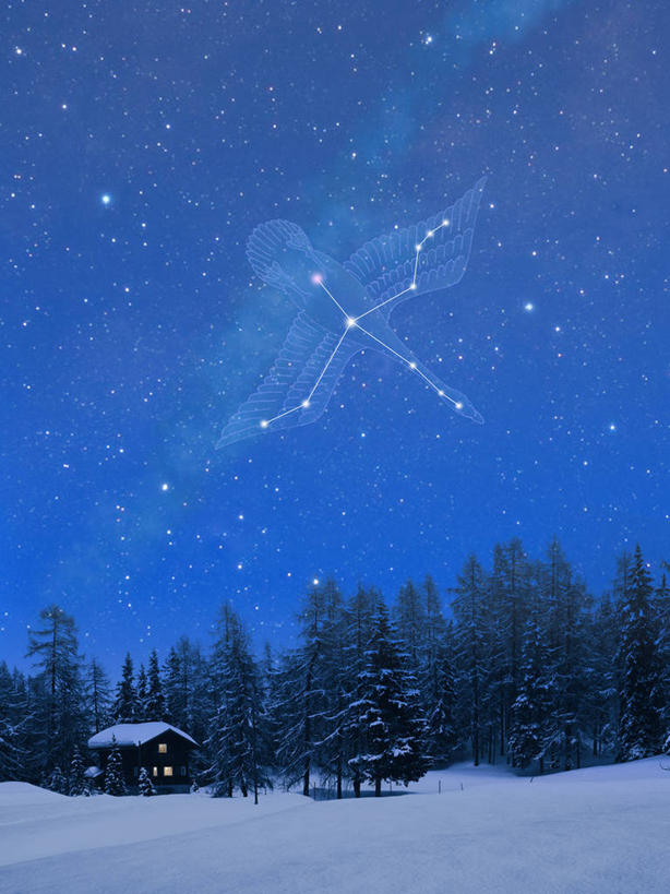 无人,家,木屋,竖图,插画,室内,夜晚,正面,旅游,度假,探险,神秘,数码,宇宙,科技,美景,树林,星空,雪,植物,大雪,夜景,瑞士,欧洲,阴影,科学,太空,网络,星球,积雪,景观,雪景,星云,冬季,冬天,高光,几何,计算机图形,合成,图画,娱乐,住宅,画,树,树木,绿色,自然,享受,休闲,景色,放松,寒冷,探索,星系,生长,成长,发现,电脑合成图,数码合成图,天体,合成图,自然风光,漫画,星体,中欧,天文学,外太空,写实,具体,具象,严寒,瑞士联邦,星夜,夜空,彩图,茅舍,茅屋,棚屋,小木屋,小屋,天鹅座纤维星云