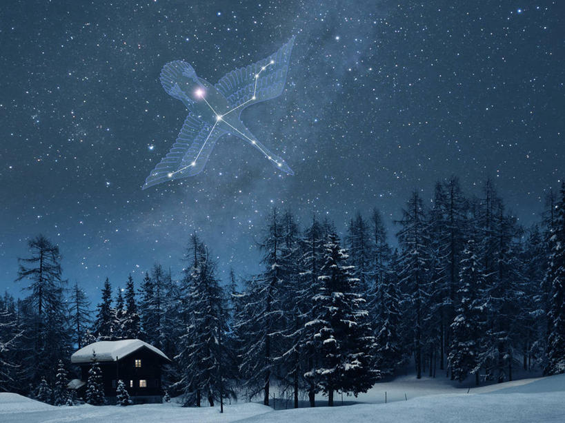 无人,家,木屋,横图,插画,室内,夜晚,正面,旅游,度假,探险,神秘,数码,宇宙,科技,美景,树林,星空,雪,植物,大雪,夜景,瑞士,欧洲,阴影,科学,太空,网络,星球,积雪,景观,雪景,星云,冬季,冬天,高光,几何,计算机图形,合成,图画,娱乐,住宅,画,树,树木,绿色,自然,享受,休闲,景色,放松,寒冷,探索,星系,生长,成长,发现,电脑合成图,数码合成图,天体,合成图,自然风光,漫画,星体,中欧,天文学,外太空,写实,具体,具象,严寒,瑞士联邦,星夜,夜空,彩图,茅舍,茅屋,棚屋,小木屋,小屋,天鹅座纤维星云