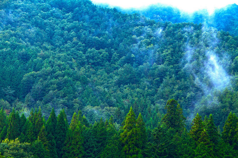 无人,横图,室外,白天,正面,旅游,度假,日出,美景,森林,山,山脉,树林,太阳,植物,雾,日本,亚洲,朦胧,模糊,景观,山峰,朝霞,晨曦,黎明,山峦,娱乐,树,树木,绿色,阳光,自然,群山,享受,休闲,景色,放松,生长,成长,迷雾,自然风光,东亚,本州,本州岛,日本国,近畿地方,近畿,滋贺,滋贺县,朝阳,大雾,彩图,卯时,破晓,日始,高岛市
