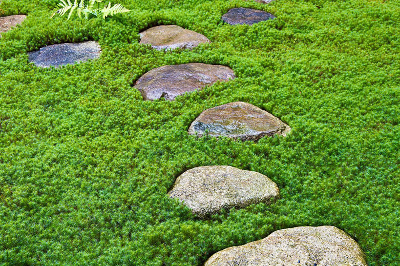 无人,横图,俯视,室外,白天,旅游,度假,草地,草原,石头,美景,植物,道路,路,日本,亚洲,阴影,光线,石子,影子,景观,旷野,小路,交通,娱乐,草,绿色,阳光,自然,享受,休闲,景色,放松,自然风光,原野,东亚,本州,本州岛,日本国,中部地方,岐阜,岐阜县,石块,岩石,彩图,高角度拍摄,高山市
