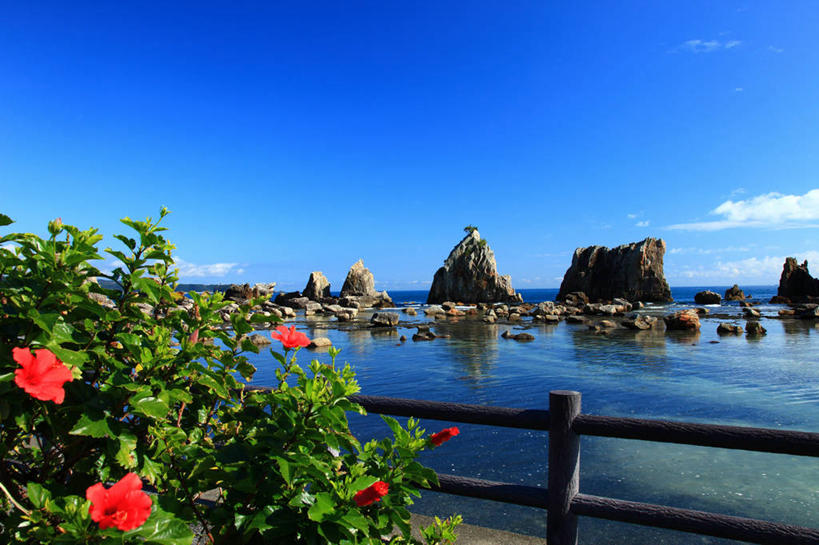 无人,栏杆,横图,室外,白天,正面,旅游,度假,草地,草坪,海浪,海洋,礁石,石头,美景,植物,日本,亚洲,阴影,盛开,光线,石子,影子,景观,浪花,云,云朵,围栏,花蕾,云彩,娱乐,护栏,草,花,花瓣,花朵,鲜花,红色,蓝色,绿色,白云,蓝天,天空,阳光,自然,海水,天,花苞,花蕊,享受,休闲,景色,放松,晴朗,自然风光,海景,东亚,本州,本州岛,日本国,近畿地方,近畿,和歌山,和歌山县,串本町,大海,风浪,海,海水的波动,礁,近岸浪,石块,岩石,涌浪,晴空,彩图,东牟娄郡