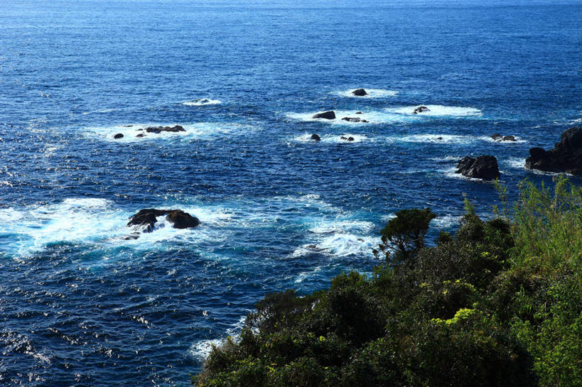 无人,横图,俯视,室外,白天,旅游,度假,草地,草坪,海浪,海洋,礁石,石头,美景,沙滩,植物,日本,亚洲,阴影,光线,沙子,石子,影子,海岸,景观,浪花,沙地,娱乐,草,绿色,阳光,自然,海水,享受,休闲,景色,放松,自然风光,海景,东亚,本州,本州岛,日本国,近畿地方,近畿,和歌山,和歌山县,串本町,大海,风浪,海,海水的波动,海滩,礁,近岸浪,石块,岩石,涌浪,彩图,高角度拍摄,东牟娄郡