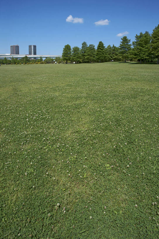 无人,高楼大厦,竖图,室外,白天,正面,度假,草地,草坪,美景,植物,城市风光,城市,大厦,建筑,摩天大楼,欧洲,匈牙利,阴影,光线,影子,景观,云,云朵,首都,云彩,娱乐,草,树,树木,蓝色,绿色,白云,蓝天,天空,阳光,自然,天,享受,休闲,景色,放松,生长,晴朗,成长,布达佩斯,中欧,匈牙利共和国,晴空,彩图,大楼,高层建筑,高楼,摩天楼,城市公园