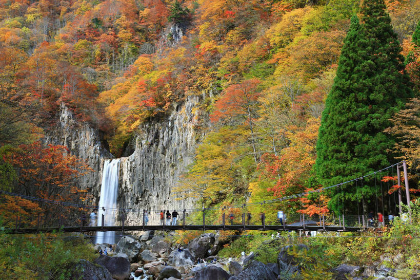 无人,栏杆,横图,室外,白天,正面,旅游,度假,草地,草坪,河流,美景,瀑布,秋季,树林,水,植物,叶子,日本,亚洲,许多,阴影,飞溅,溅,光线,木板,液体,影子,河水,景观,水滴,水流,围栏,桥,枯叶,落叶,木桥,很多,娱乐,护栏,栈桥,水珠,草,树,树木,黄色,红色,绿色,阳光,自然,享受,休闲,景色,放松,生长,成长,人行桥,木板桥,喷洒,自然风光,东亚,本州,本州岛,日本国,中部地方,新潟,新潟县,叶,叶片,跌水,秋,秋天,彩图,妙高市