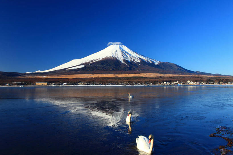 游泳,无人,横图,室外,白天,正面,旅游,度假,湖,湖泊,火山,美景,山,水,雪,雪山,大雪,鸟,富士山,日本,亚洲,三只,阴影,波纹,飞溅,溅,光线,鸟类,鸭,液体,影子,冰,湖面,积雪,景观,山峰,水滴,水流,水面,雪景,冬季,冬天,山峦,娱乐,家禽,水珠,蓝色,倒影,蓝天,水纹,天空,阳光,自然,动物,船尾波,波浪,湖水,天,享受,休闲,景色,放松,寒冷,牲畜,晴朗,淡水湖,冰冷,倒映,喷洒,自然风光,东亚,本州,万里无云,本州岛,日本国,中部地方,山梨,山梨县,严寒,冰凉,酷寒,凛冽,凛凛,极冷,泅水,富士五湖,山中湖,反照,拍浮,活火山,晴空,晴空万里,彩图,全身,南都留郡,富士河口湖町